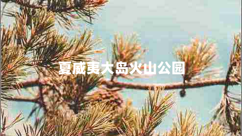 夏威夷大島火山公園