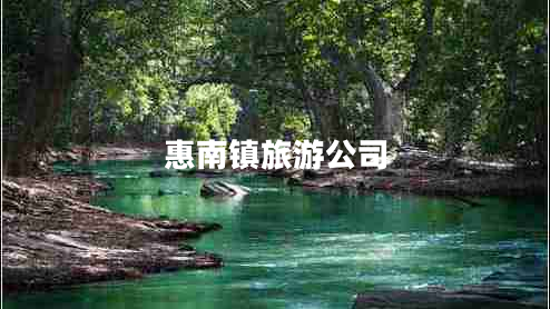 惠南鎮旅游公司