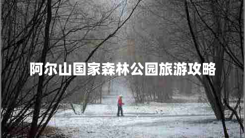阿爾山國(guó)家森林公園旅游攻略