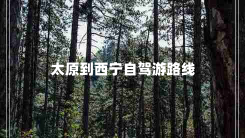 太原到西寧自駕游路線