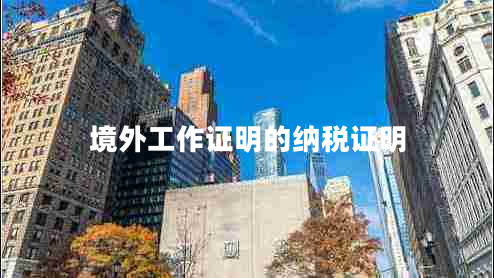 境外工作證明的納稅證明