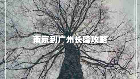 南京到廣州長(cháng)隆攻略