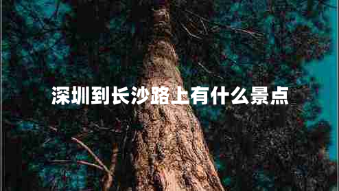 深圳到長沙路上有什么景點