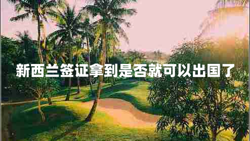 新西蘭簽證拿到是否就可以出國(guó)了