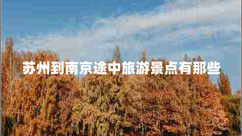 蘇州到南京途中旅游景點有那些