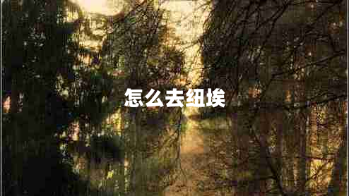 怎么去紐埃
