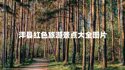 洋縣紅色旅游景點大全圖片