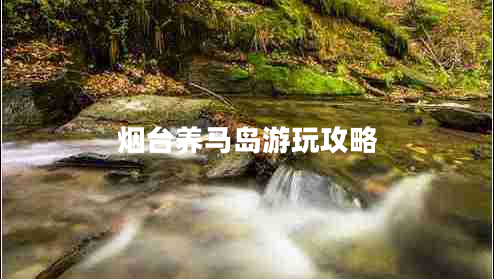煙臺養(yǎng)馬島游玩攻略