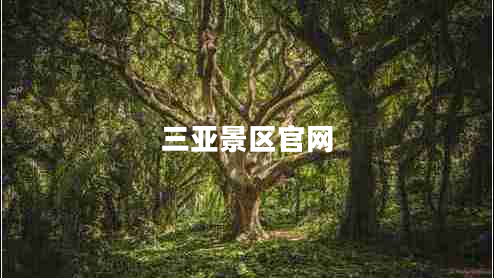 三亞景區(qū)官網(wǎng)