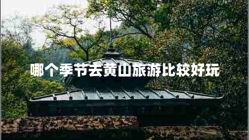 哪個季節(jié)去黃山旅游比較好玩
