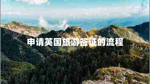 申請(qǐng)英國(guó)旅游簽證的流程
