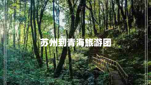 蘇州到青海旅游團(tuán)
