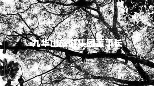 九華山旅游集團董事長