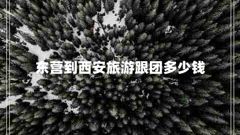 東營到西安旅游跟團多少錢
