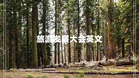 旅游發(fā)展大會(huì)英文