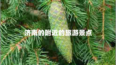 濟南的附近的旅游景點(diǎn)
