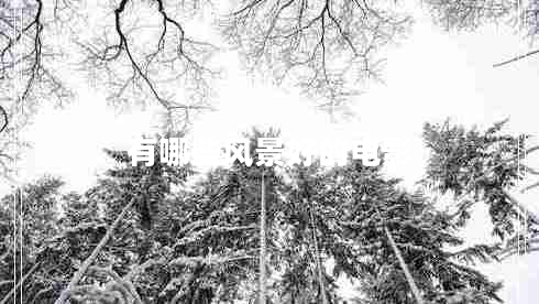 有哪些風景好的電影