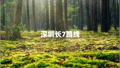 深圳長(zhǎng)7路線