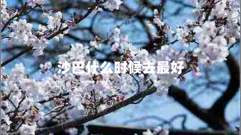 沙巴什么時候去最好