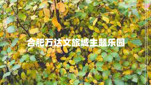 合肥萬達(dá)文旅城主題樂園