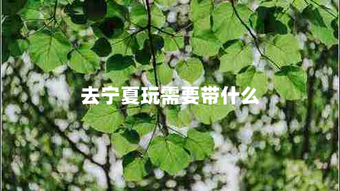 去寧夏玩需要帶什么