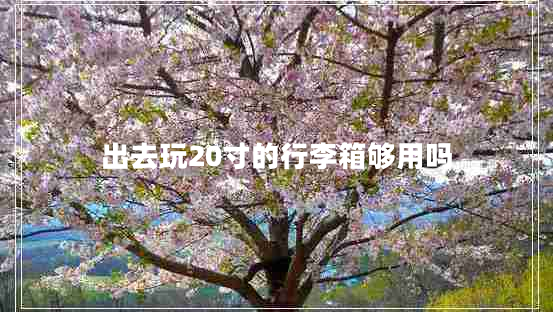 出去玩20寸的行李箱夠用嗎
