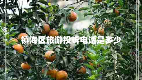 鎮(zhèn)海區(qū)旅游投訴電話是多少