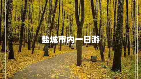 鹽城市內(nèi)一日游