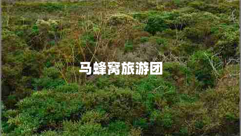 馬蜂窩旅游團(tuán)