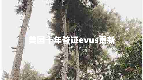 美國(guó)十年簽證evus更新