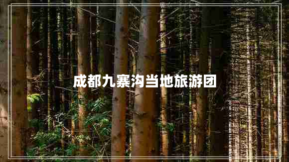 成都九寨溝當(dāng)?shù)芈糜螆F(tuán)