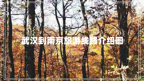 武漢到南京旅游線(xiàn)路介紹圖