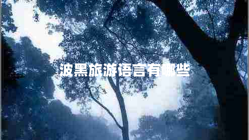 波黑旅游語(yǔ)言有哪些