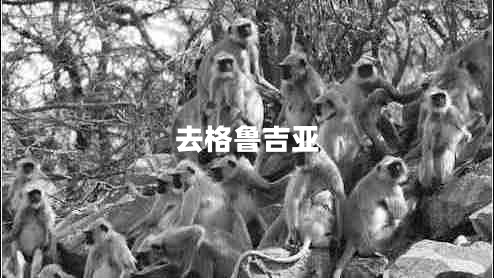去格魯吉亞