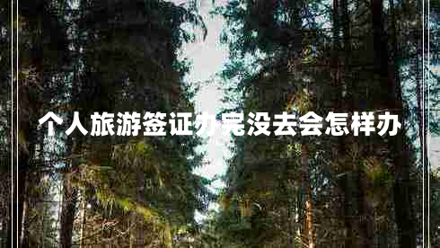 個(gè)人旅游簽證辦完沒去會(huì)怎樣辦