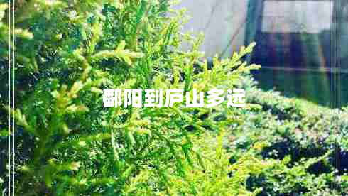 鄱陽(yáng)到廬山多遠