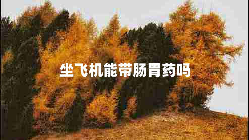 坐飛機(jī)能帶腸胃藥嗎
