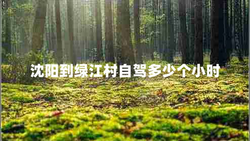 沈陽到綠江村自駕多少個小時