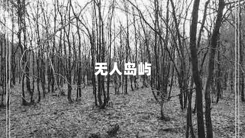 無人島嶼