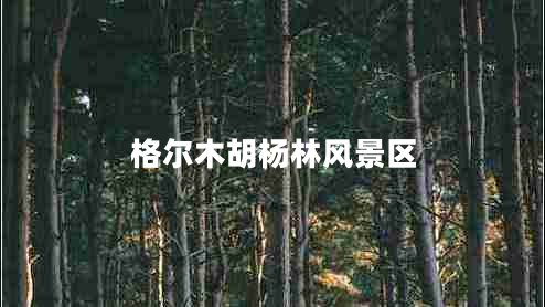 格爾木胡楊林風(fēng)景區
