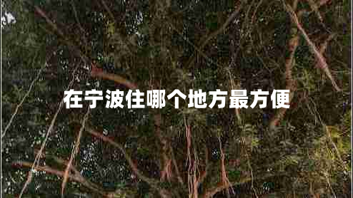 在寧波住哪個地方最方便