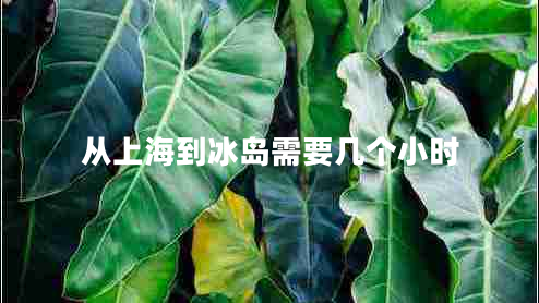 從上海到冰島需要幾個小時