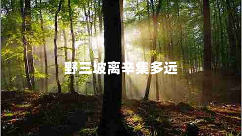 野三坡離辛集多遠(yuǎn)