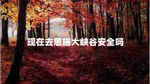 現在去恩施大峽谷安全嗎