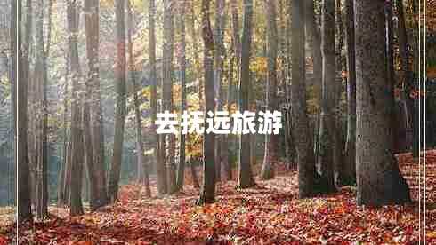 去撫遠旅游