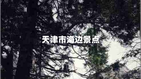 天津市海邊景點