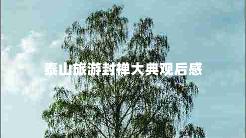 泰山旅游封禪大典觀(guān)后感