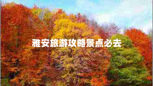 雅安旅游攻略景點(diǎn)必去