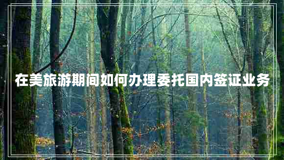在美旅游期間如何辦理委托國內簽證業(yè)務(wù)