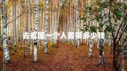 去泰國一個(gè)人要帶多少錢(qián)